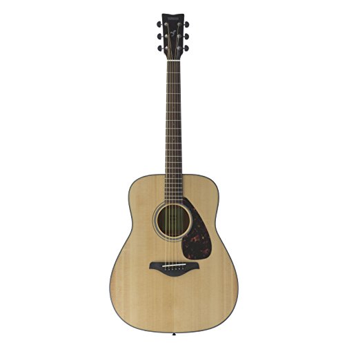 acoustic-guitar-beginner